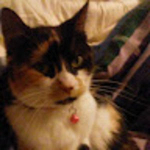 Meet your Posher, Casey